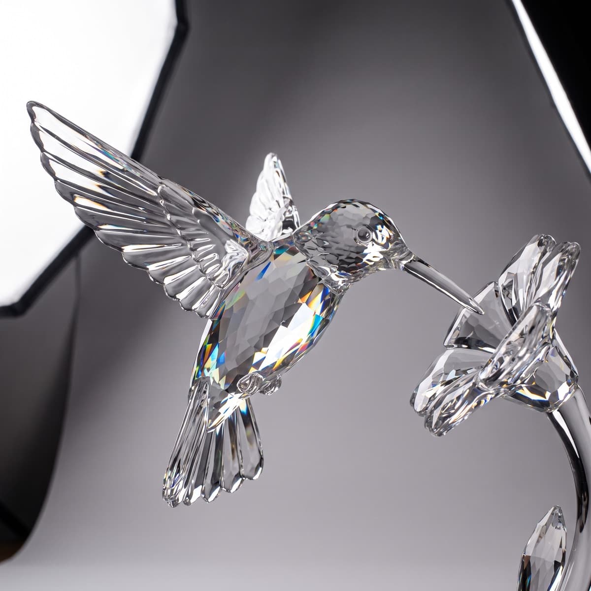 A crystal hummingbird, studio light — generated with Nano Banana Pro